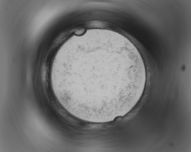 X0000115681438200912241431