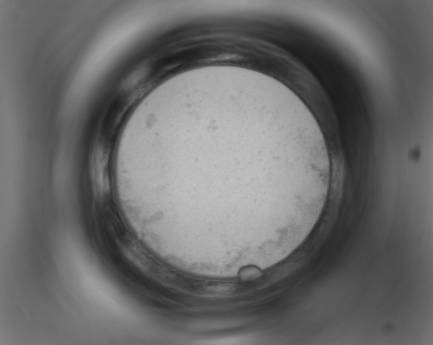 X0000115681439200912241431