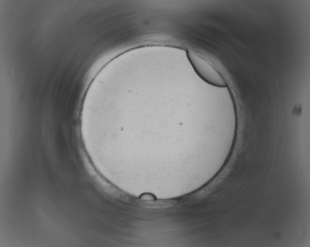 X0000115681440200912241431