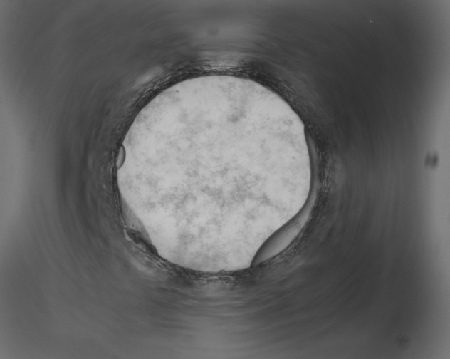 X0000115681441200912241431