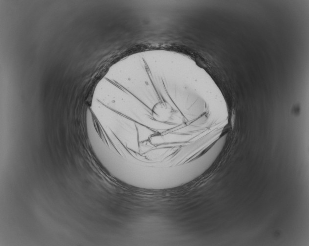 X0000115681444200912241431