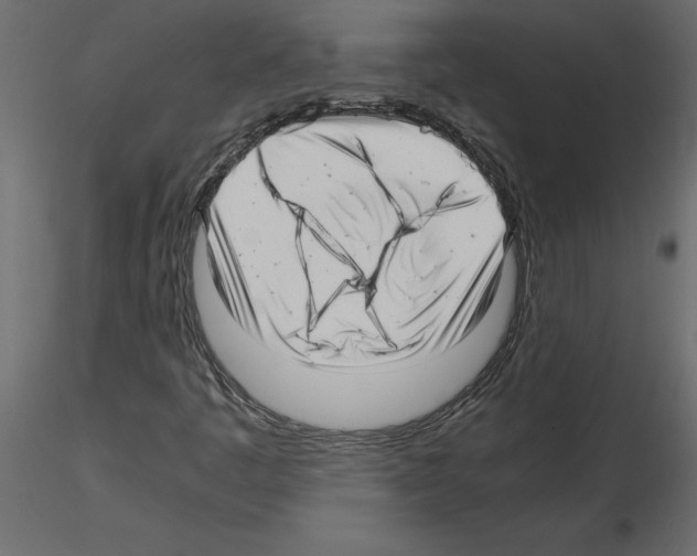X0000115681445200912241431
