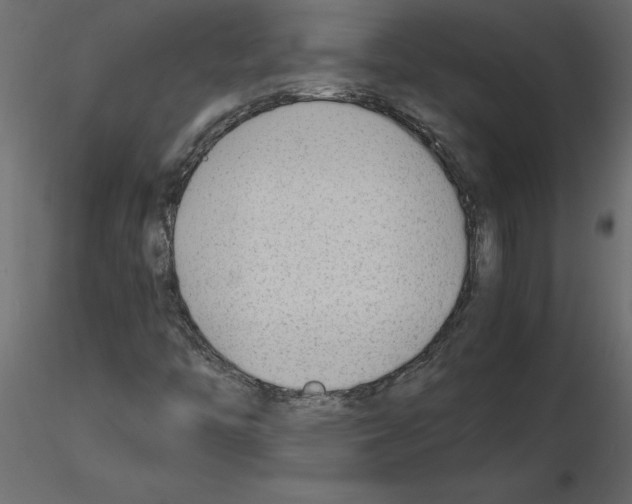 X0000115681446200912241431