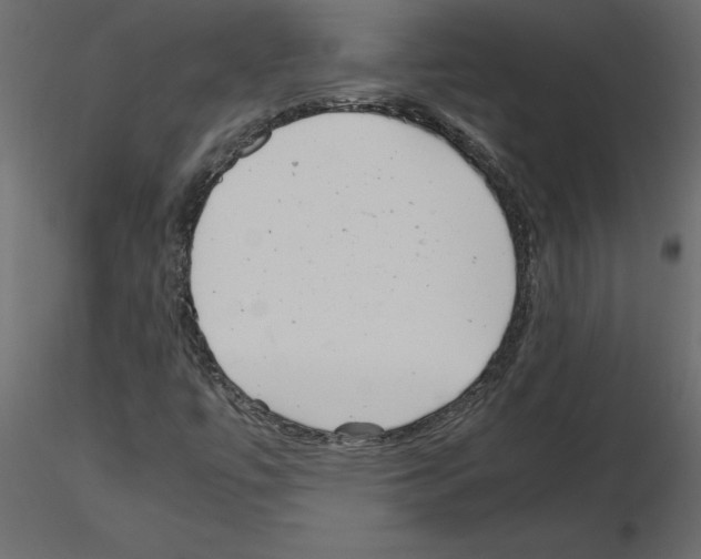 X0000115681447200912241431