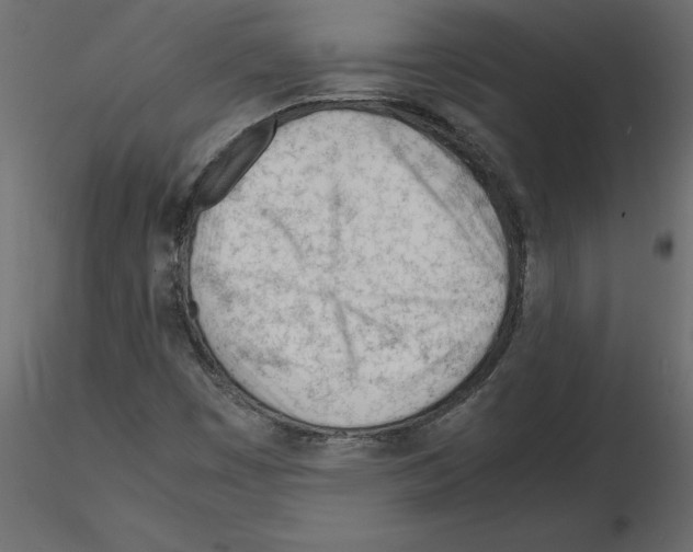 X0000115681449200912241431