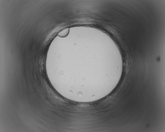 X0000115681451200912241430