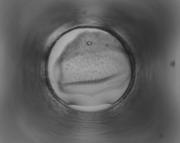 X0000115681455200912241430