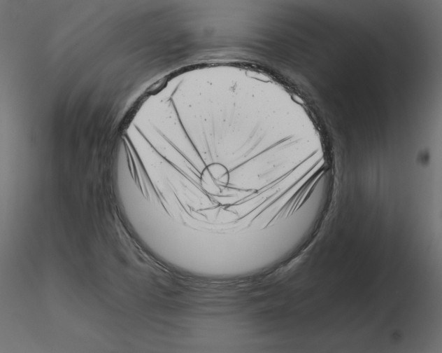 X0000115681457200912241430