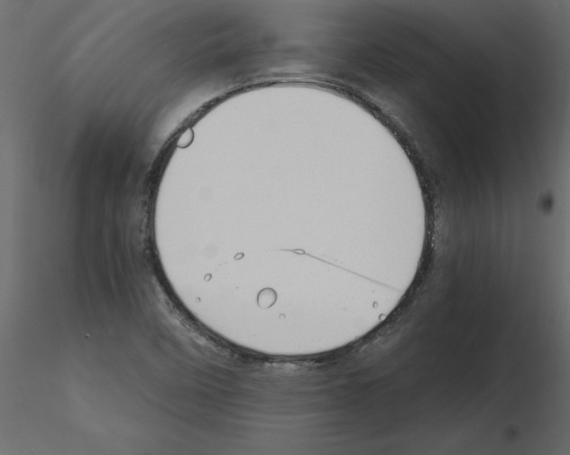 X0000115681458200912241430