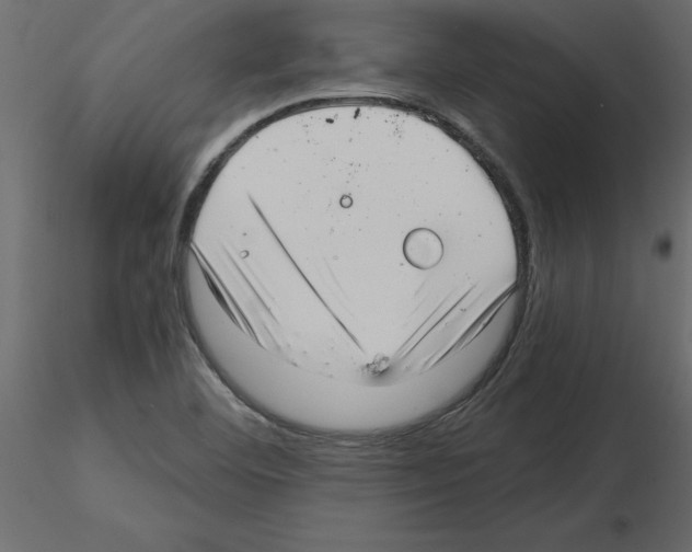 X0000115681460200912241430