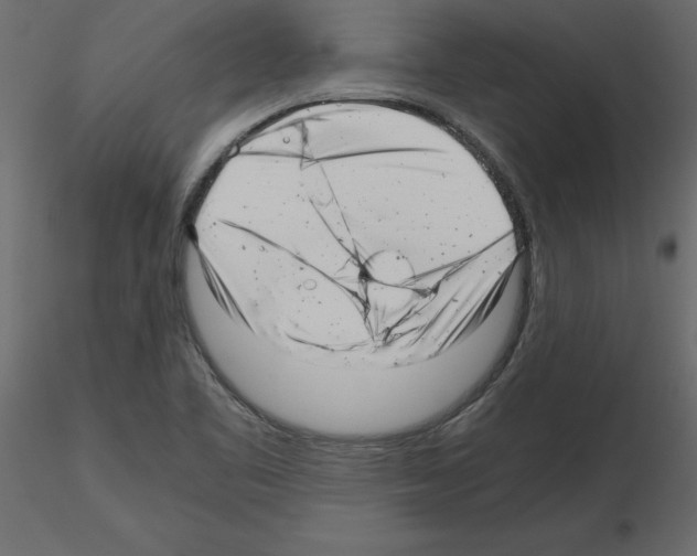 X0000115681461200912241430
