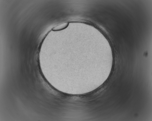 X0000115681463200912241430