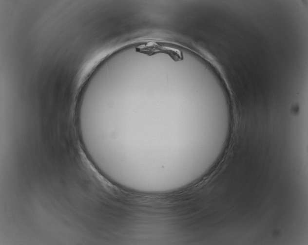 X0000115681464200912241430