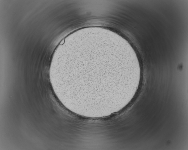 X0000115681465200912241430