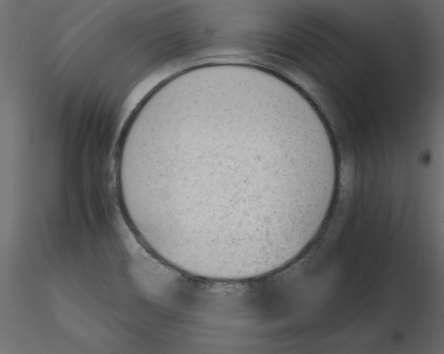 X0000115681466200912241430