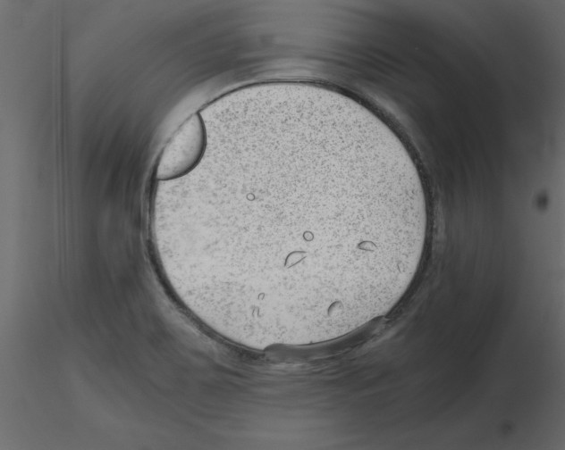 X0000115681467200912241430