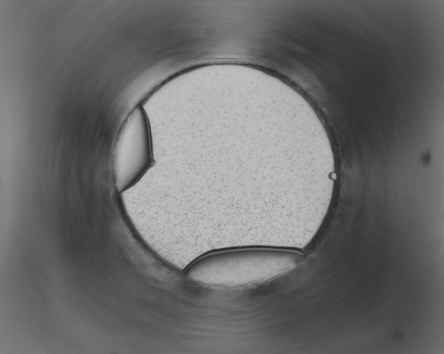 X0000115681469200912241430