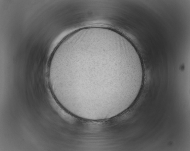 X0000115681470200912241430