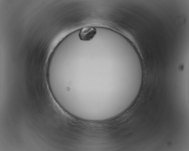 X0000115681472200912241430