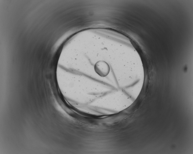 X0000115681476200912241430