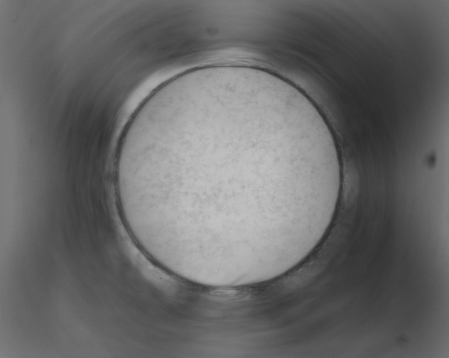 X0000115681478200912241430