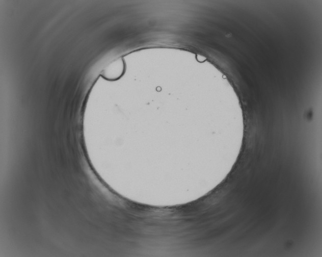 X0000115681479200912241430