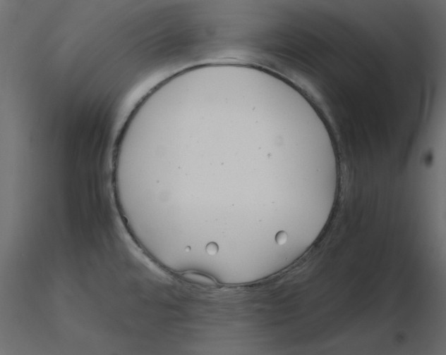 X0000115681480200912241430