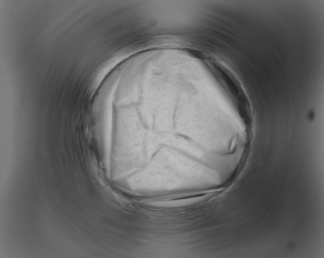 X0000115681481200912241430