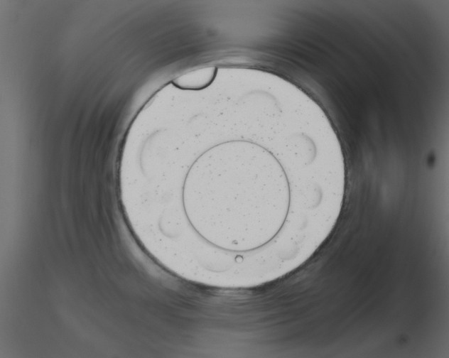 X0000115681483200912241430