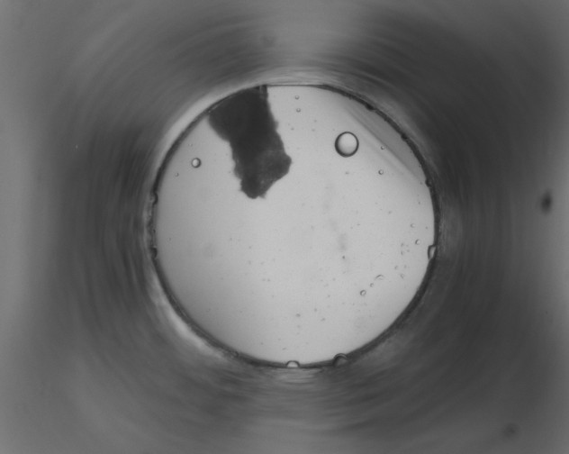 X0000115681484200912241430