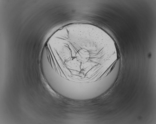 X0000115681485200912241430