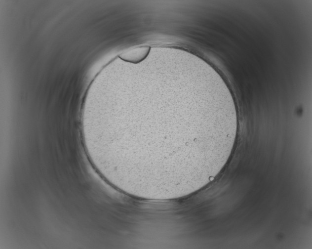 X0000115681487200912241430