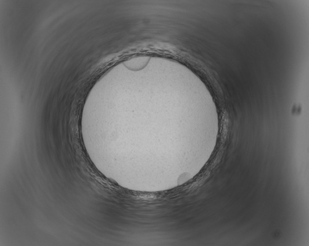 X0000115681489200912241429
