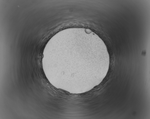 X0000115681490200912241429