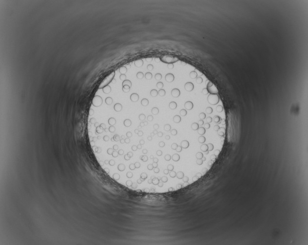 X0000115681491200912241429