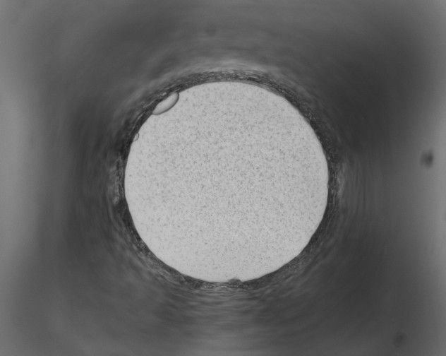 X0000115681493200912241429