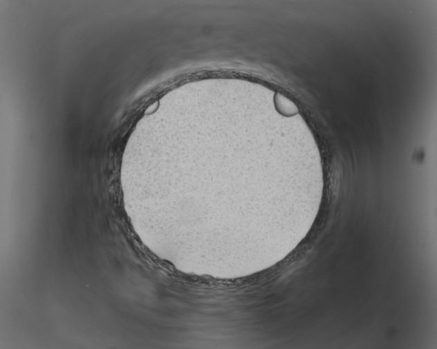 X0000115681494200912241429