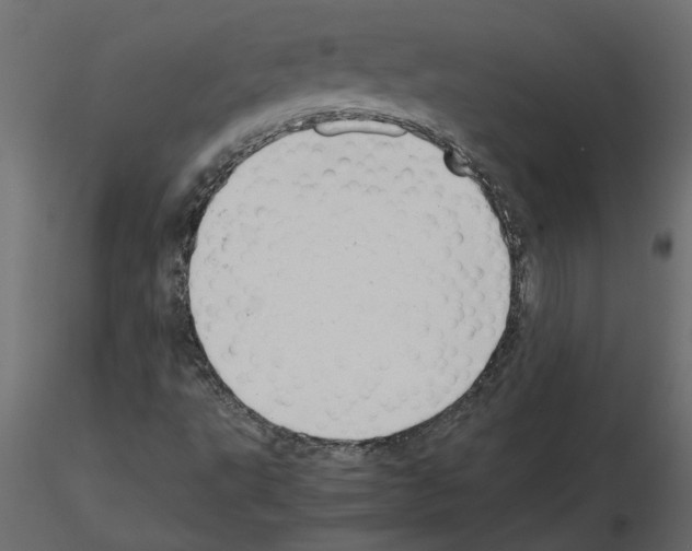 X0000115681495200912241429