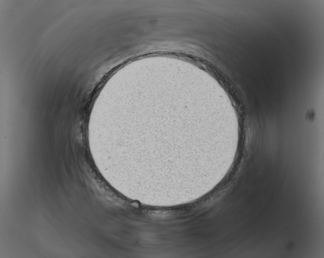 X0000115681497200912241429