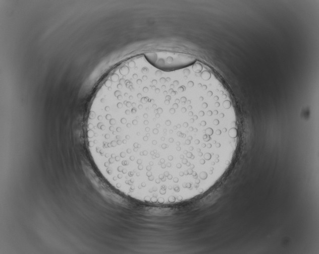 X0000115681499200912241429