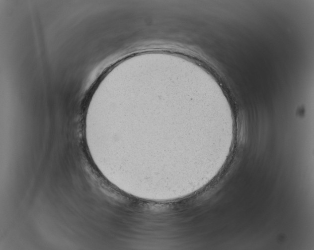 X0000115681501200912241430