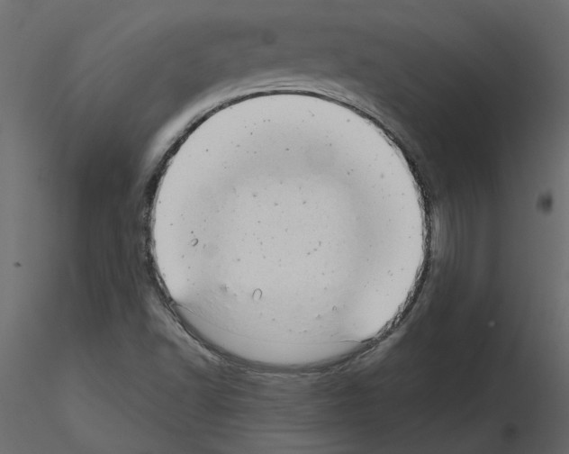 X0000115681502200912241430