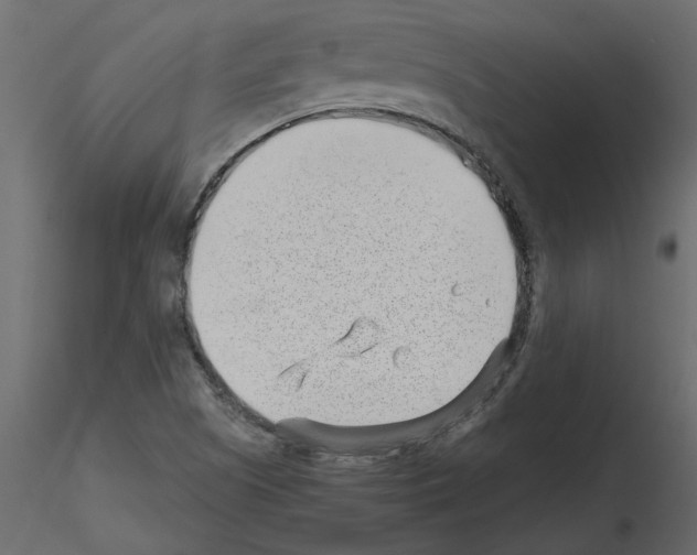 X0000115681505200912241430