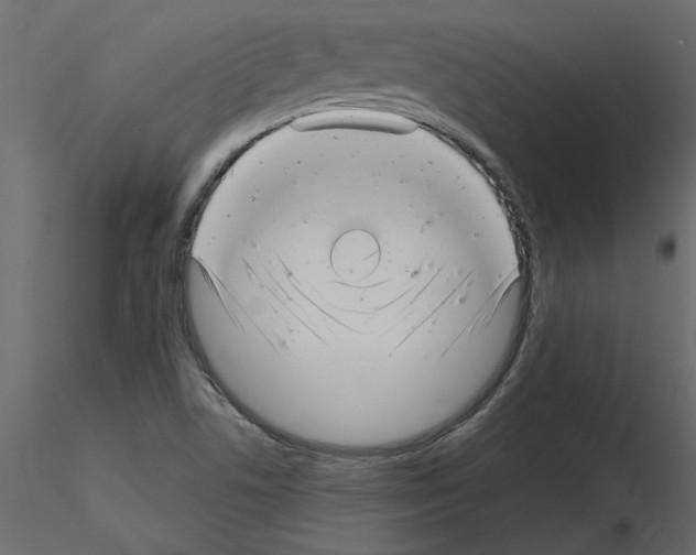 X0000115681506200912241430