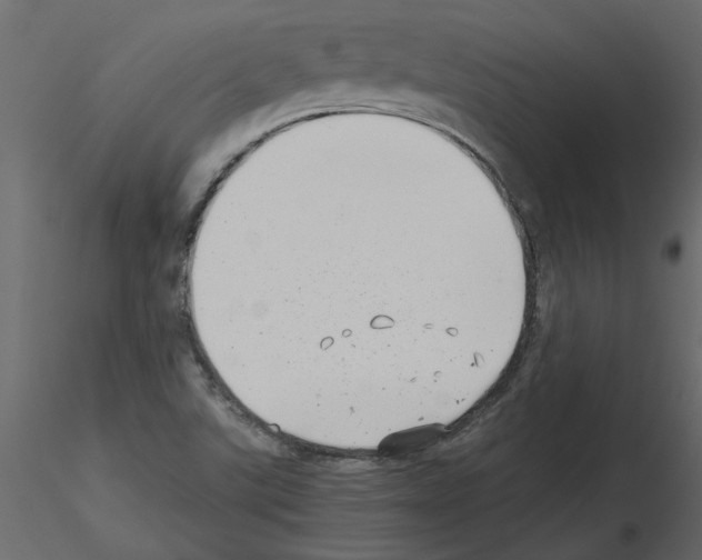 X0000115681507200912241430