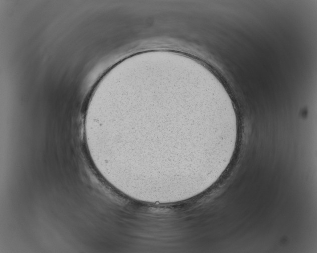 X0000115681509200912241430