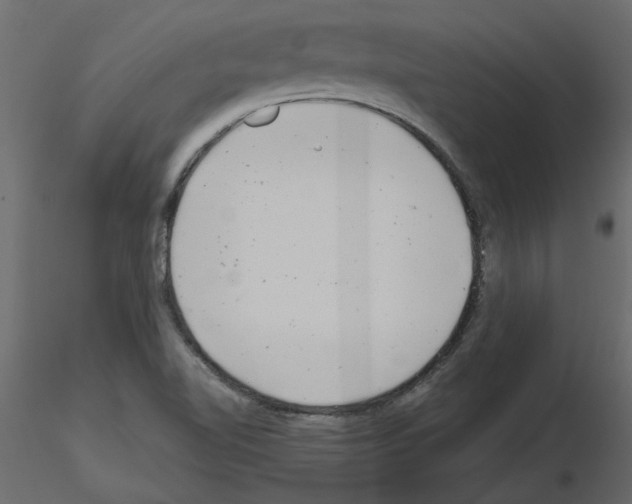 X0000115681510200912241430