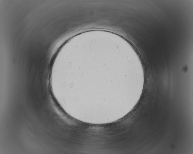 X0000115681511200912241430
