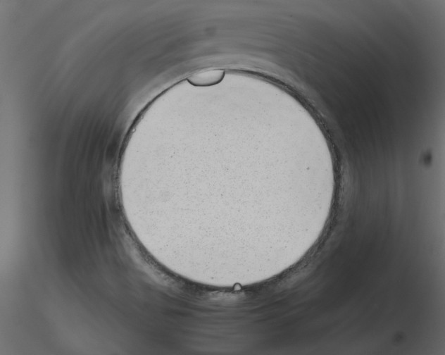 X0000115681513200912241430
