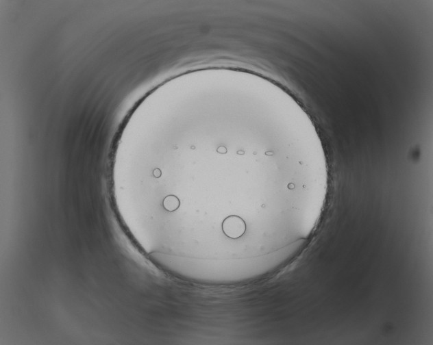 X0000115681518200912241430